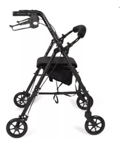 Rolling Walker Equate