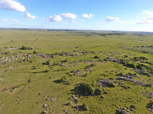 236hás Campo Criador En Florida