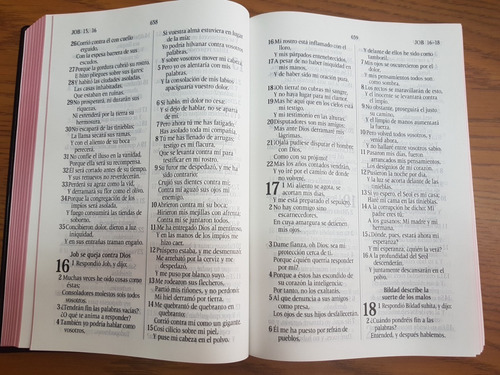 Biblia Reina Valera 1960 Letra Grande, Concordancia, Vinilo