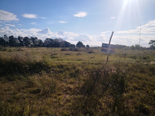 Imagen 3 de 8 de Terreno En Venta En Pavón