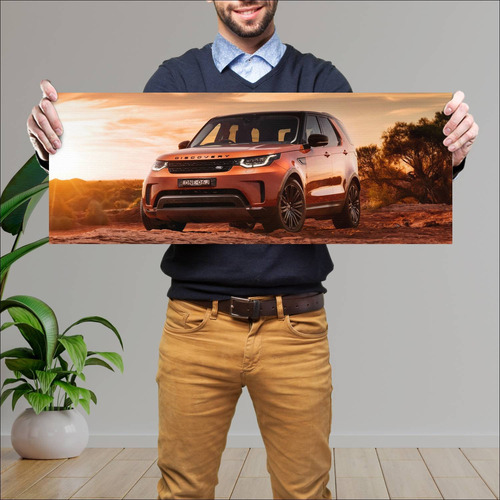 Cuadro 30x80cm Auto 2017 Land Rover Discovery Fi 333