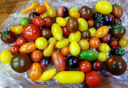 Semillas Tomate Cherry, Variedad De Colores