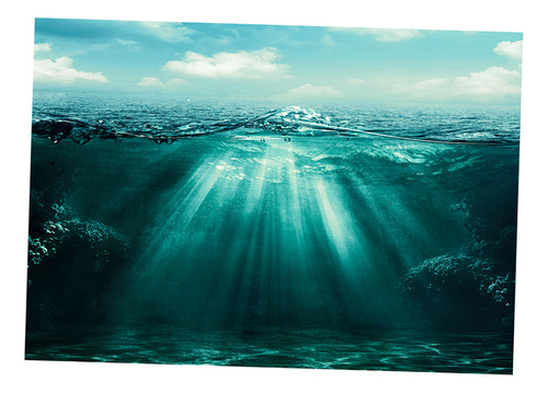 Cartel De Paisaje De Acuario 76x46cm
