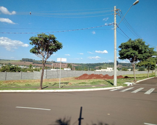 Imagem 6 de 13 de Terreno - Te00270 - 69512010