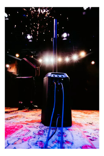 Sistema De Som Pa Portatil Bose L1 Pro8 Line Array Bluetooth