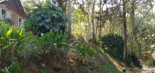 Imagem 10 de 15 de Lote / Terreno Em Nogueira - Petrópolis - 5008