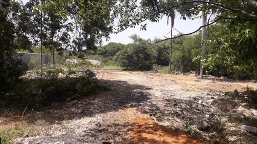 Imagen 3 de 3 de Terreno En Venta En Ejido La Zanja