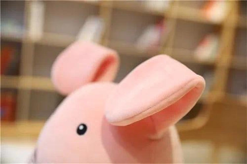 Juguetes De Muñecas De Peluche Hanako-kun De Manga Toil-boun