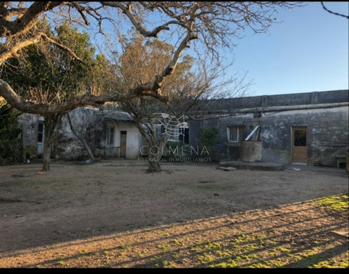 Imagen 25 de 29 de Campo En Jose Ignacio - Jose Ignacio