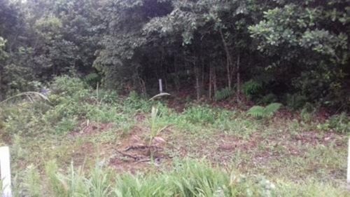 Imagem 4 de 4 de Terreno Na Praia Aceita Carro Como Parte De Pagamento.