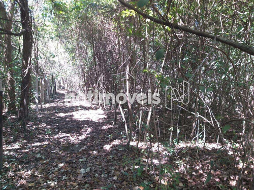 Imagem 26 de 30 de Venda Chácara Zona Rural São Sebastião - 794340