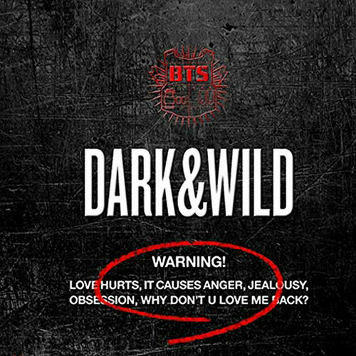 Álbum Dark And Wild De Bts Con Cd Y Extras.