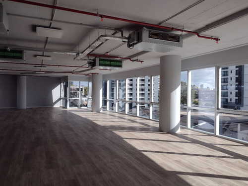 Imagen 6 de 18 de Oficina En Alquiler 420 M² Madero Harbour - Juana Manso 1870