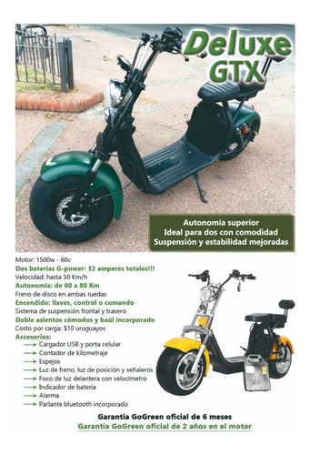 Imagen 7 de 9 de Scooter Electrica Go-green Deluxe Gtx