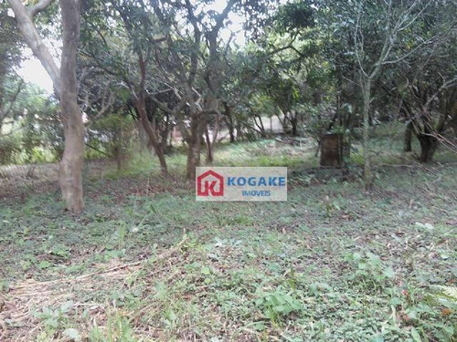 Imagem 6 de 11 de Chácara À Venda, 7600 M² Por R$ 590.000,00 - Jardim São Leopoldo - São José Dos Campos/sp - Ch0093