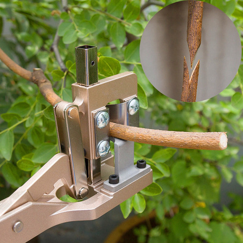 Tijeras De Podar Árboles Frutales De Jardín De Aleación De A