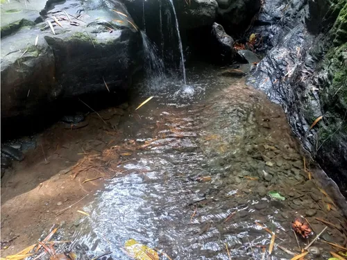 Se Vende Lote A Borde De Via Principal Barragan Genova