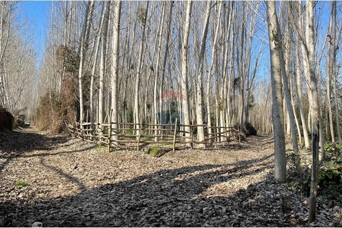 Venta De Terreno, Cuesta De Idahue, Coltauco
