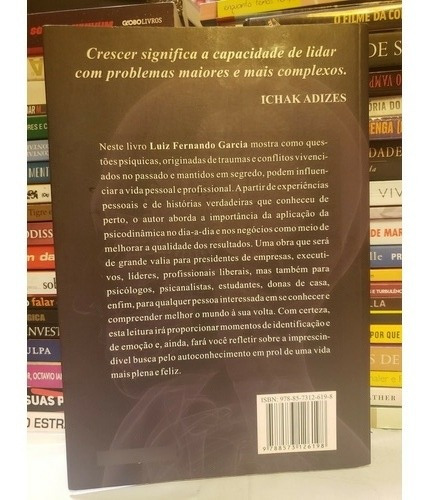 O Inconsciente Na Sua Vida Profissional Luiz Fernando Garcia