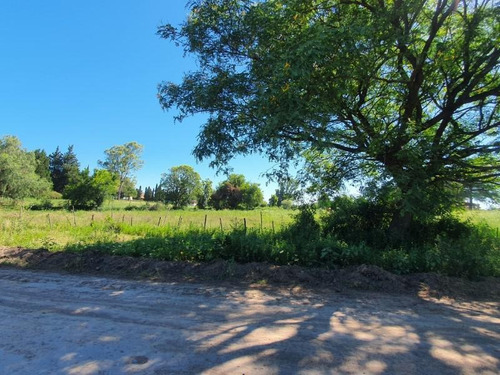 Imagen 7 de 14 de Terreno De 1.000 En Zona De Quintas, A Pocos Metros De Ruta 26