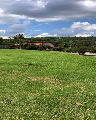 Imagem 3 de 5 de Terreno - Te01085 - 69272715