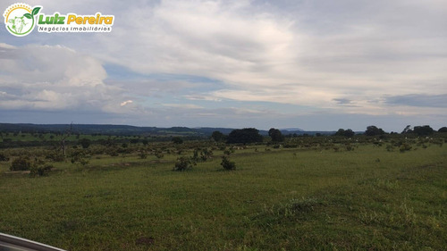 Imagem 7 de 15 de Fazenda Á Venda Em Corguinho/taboco - Ms -551 Hectares (dupla Aptidão) - 2237
