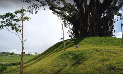Imagem 9 de 28 de Terreno À Venda Em Alphaville Dom Pedro 2 - Te007465