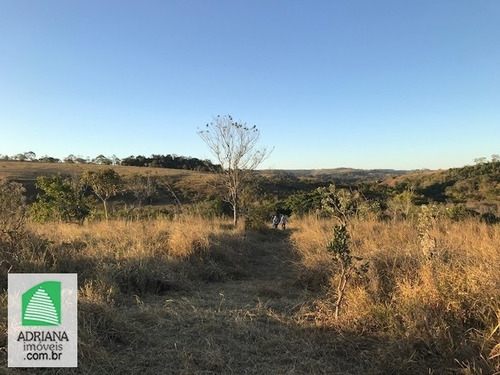 Imagem 3 de 14 de Venda Chácaras De 20.000 Mts² Próximo Rio Pianco Município De Abadiânia - 6158