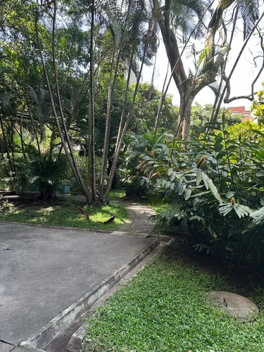 Venta Apartamento En El Poblado Milla De Oro
