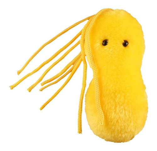 Peluche Helicobacter Pylori Bacteria Giant Microbes