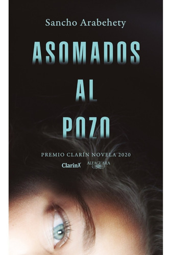 Asomados Al Pozo - Ignacio Arabehety - Alfaguara - Libro