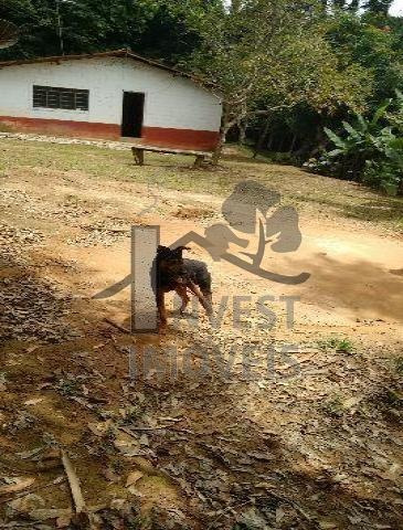 Imagem 1 de 8 de Cód 2618 - Lindo Sitio Com 48.000 M2 - 2618