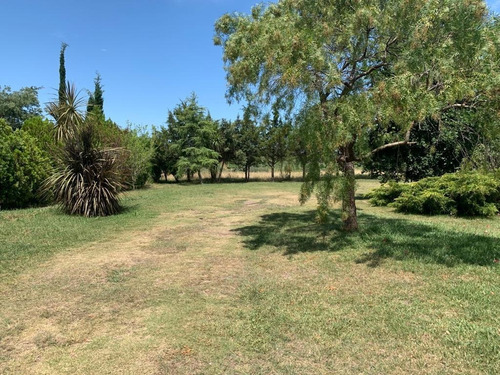 Vendo Muy Linda Chacra Con 3 Casas, 2 Galpones Y Un Parque Arbolado Único!!!!!!!!!!