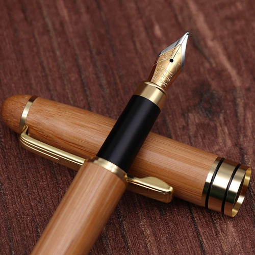 Caso Pluma Estilografica Conjunto De Escritura Recogida...