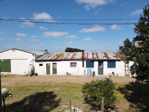 Imagen 5 de 16 de Campo, 7 Has, Cno Mendoza, Quinta En Producción Con Frente A Dos Caminos