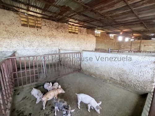 Imagen 13 de 20 de Casa En Venta En Zona Centro Santa Cruz De Aragua 22-24564 Irrr