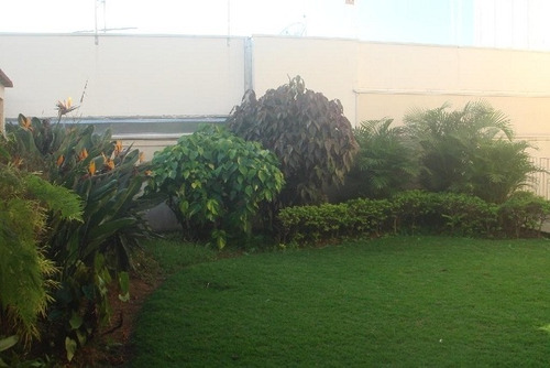 Imagem 7 de 22 de Comercial Para Venda, 0 Dormitórios, Centro - Mogi Das Cruzes - 2213