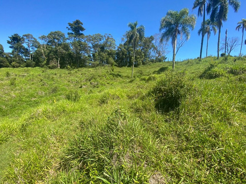 Imagem 20 de 27 de L38- Lotes Com Segurança E Otimo Valor