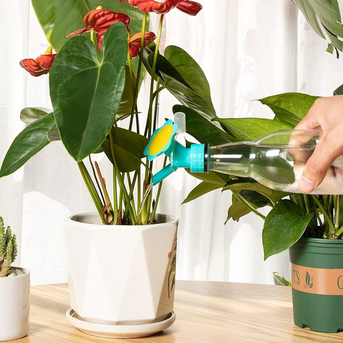 10 Botellas Para Beber Con Tapa De Botella