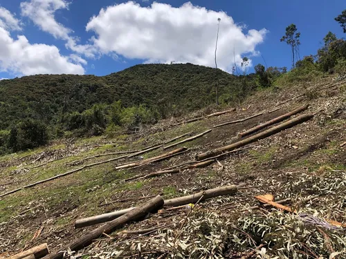 Lote En Tabio Cundinamarca