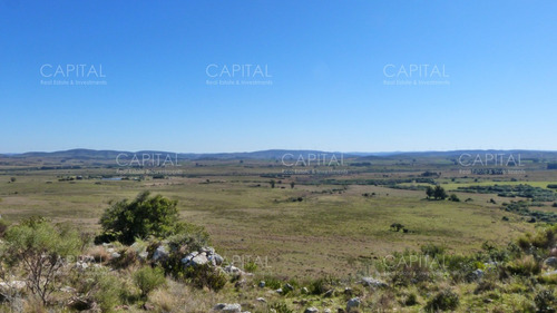 Campo Ganadero A 20km De San Carlos