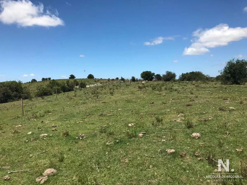 Imagen 7 de 28 de Se Vende Campo De 130 Has, En Maldonado