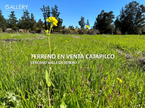 Terreno Plano, Vistas Despejadas, Colinda Viña, Catapilco
