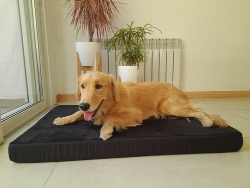 Cama Colchoneta Para Perros Lola Pets Modelo Alaska Grande