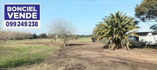 Amplio Terreno En Excelente Ubicación