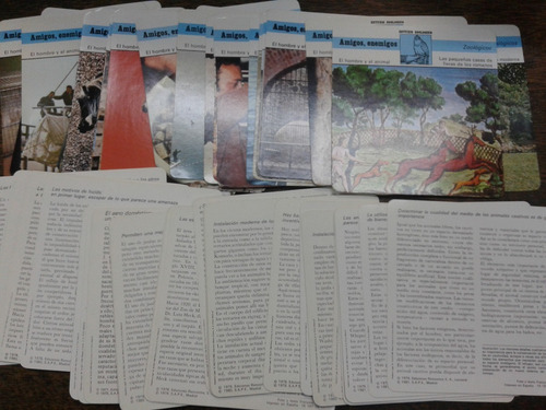 Imagen 3 de 6 de 375 Fichas Sobre Estudios Zoologicos * Para Estudio *