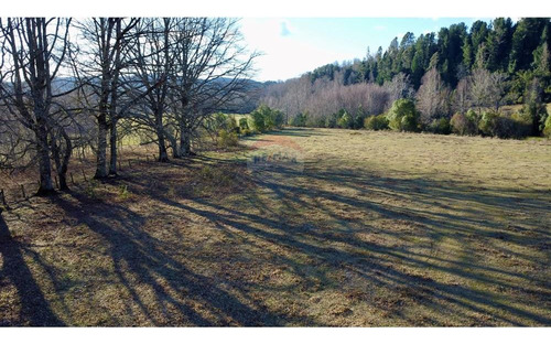 Field In Cunco Of 21.27 Ha. Incredible Opportunity