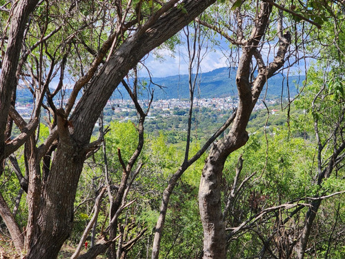Venta Lote Mirador Iii De Vistas Muy Bonitas, Cerca De La Entrada Y Enormes Dimensiones. Se Incluye Proyecto Arquitectónico En Fracc Rancho San Diego Ixtapan De La Sal Edomex