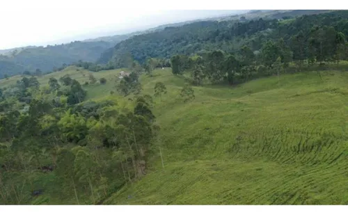Finca Ganadera Con Espectacular Vista A La Reserva De Barbas