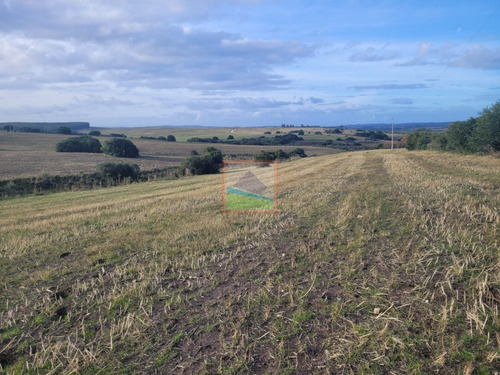 Imagen 3 de 26 de 70 Hectáreas De Campo Ganadero Corte De La Leña